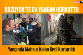 Yangında Mahsur Kalan Kedi Kurtarıldı