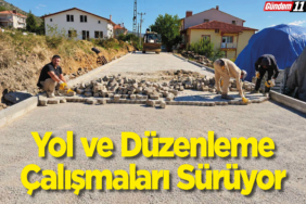 Yol ve Düzenleme Çalışmaları Sürüyor