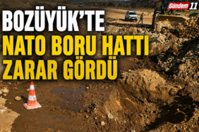 boru