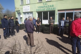 bozuyuk-haber-10933810-yenipazar-da-cilek-uretimine-guclu-baslangic-0.jpg