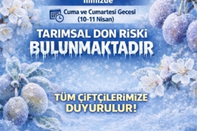 bozuyuk-haber-1725510-il-tarim-mudurlugu-ureticinin-yaninda-0.jpg