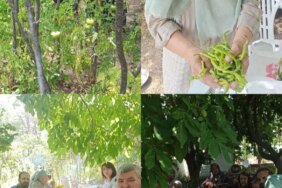 bozuyuk-haber-299217-huzurevinde-emek-hasada-donustu-0.jpg