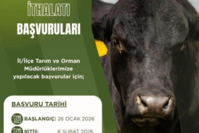 bozuyuk-haber-384581-besilik-hayvan-ithalati-basvuru-tarihleri-guncellendi-0.jpg