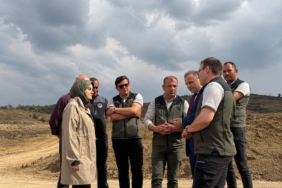 bozuyuk-haber-41054610-golpazari-nda-yanan-alanlar-yeniden-yeseriyor-0.jpg
