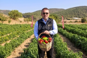 bozuyuk-haber-598545-vali-sozer-kamber-biberi-hasadinda-0.jpg