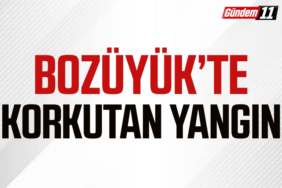bozuyuk-haber-873247-bozuyuk-te-korkutan-yangin-0.jpg