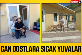 can dost