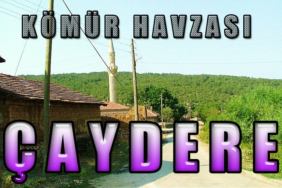 cay_1