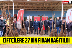 çiftçiliere 27 bin fidan dağıtıldı
