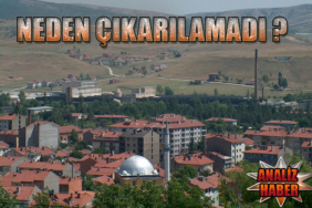 çit_1