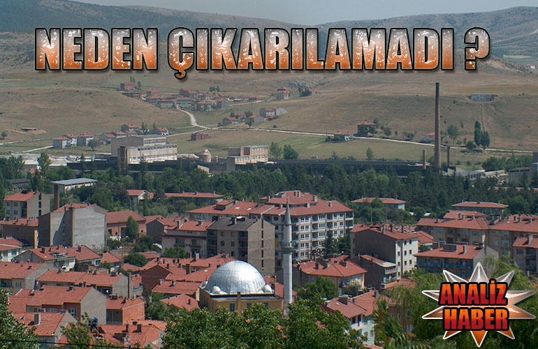 çit_1