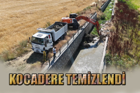dere_1