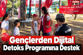 detoks