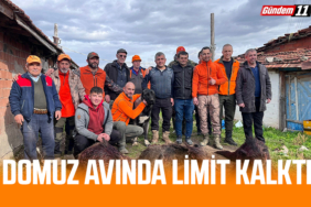 domuz avında limit kalktı