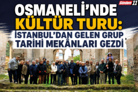 gezi