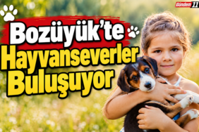 hayvansever