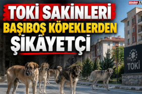 köpke