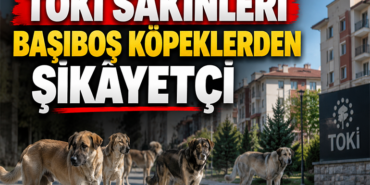 köpke