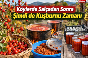 kuşburnu