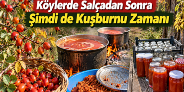kuşburnu