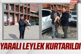manşet2-Kurtarıldı