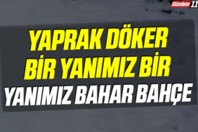 manşet2-Kurtarıldı
