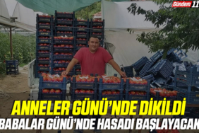 manşet2-Kurtarıldı