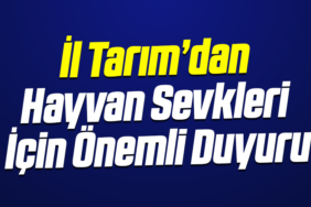 manşet2-Kurtarıldı