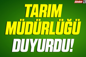 manşet2-Kurtarıldı