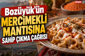 mantı