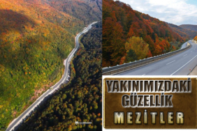 mezit_1