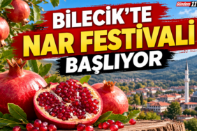 nar fest