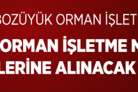 ogm ilan