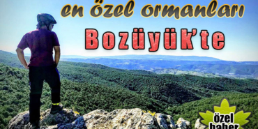 orm_1