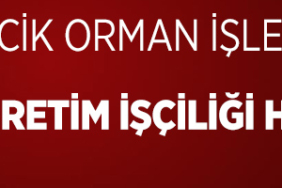orman