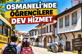 osmaneli