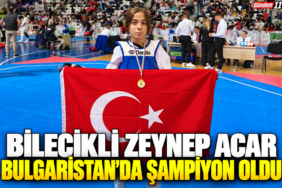 şampiyon