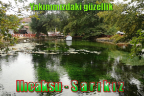 sari_1