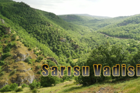 sarısu_1