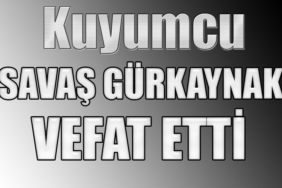 savas_1