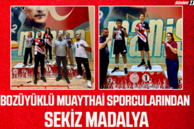 sekiz