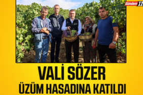 üzüm