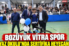 vitra