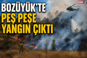 yangın