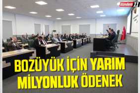 yarım milyonluk