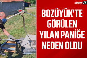 yılan