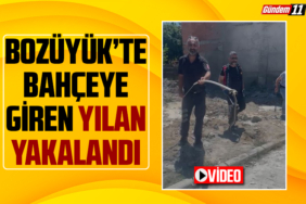 yılan