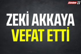 zeki akkaya